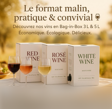 Bag-in-Box – Vins en Cubi 3, 5 et 10L (BIB)