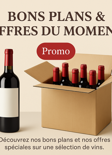 Bons Plans & Offres du moment
